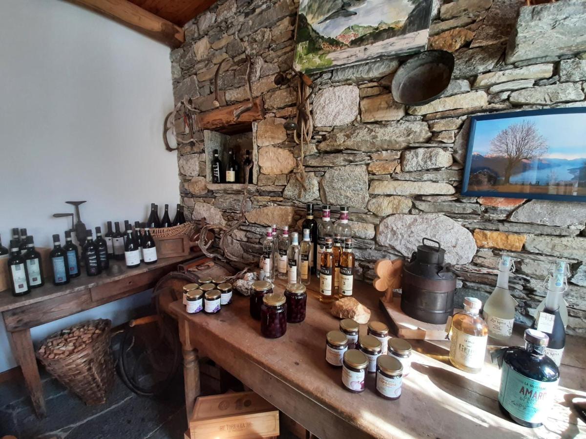 Agriturismo Zertin 그라베도나 외부 사진
