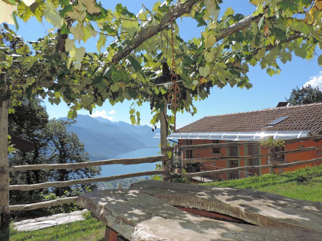 Agriturismo Zertin 그라베도나 외부 사진